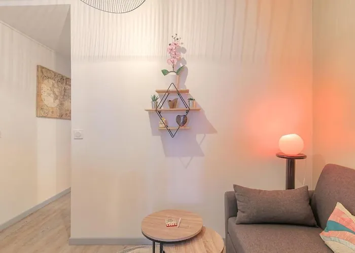 Apartment T2 Et Bien Equipe, Perrache, Confluence