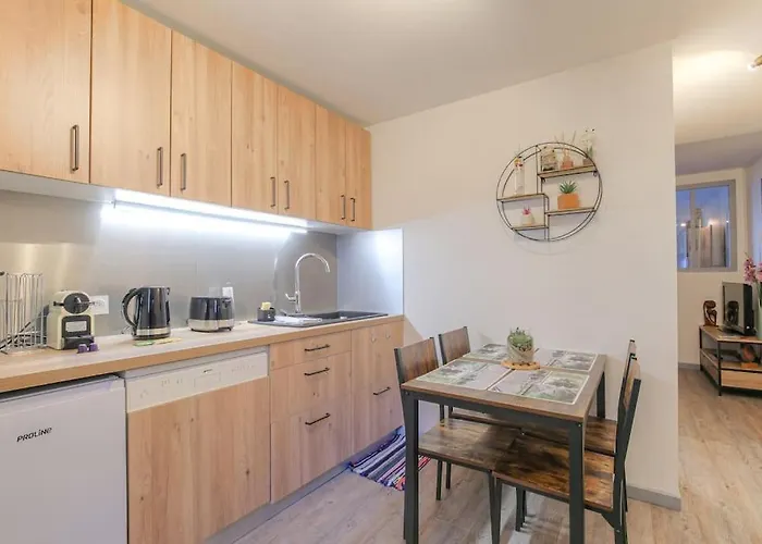 Apartment T2 Et Bien Equipe, Perrache, Confluence *